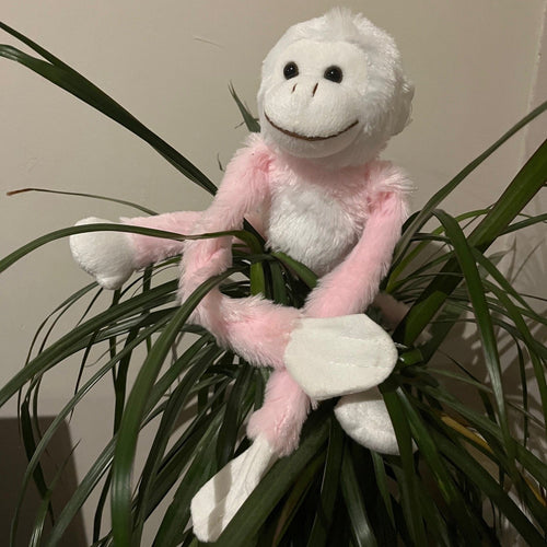 Petit singe rose